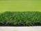 High Quality with Natural Looking Artificial Grass for Landscaping Customization Waterproof Artificial Grass