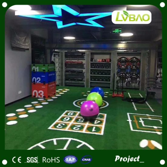 Green Gym Indoor Decorative Artificial Grass Artificial Turf