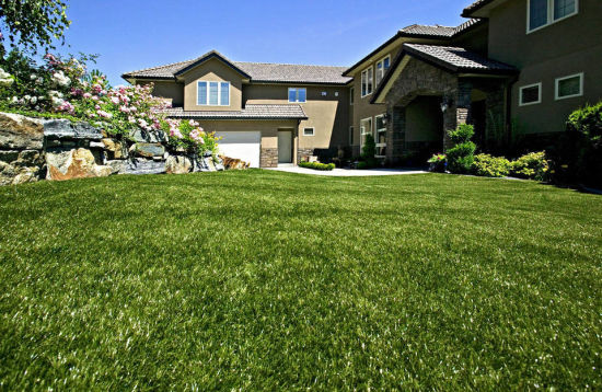 Artificial Turf Grass for Decoration and Landscaping Grass