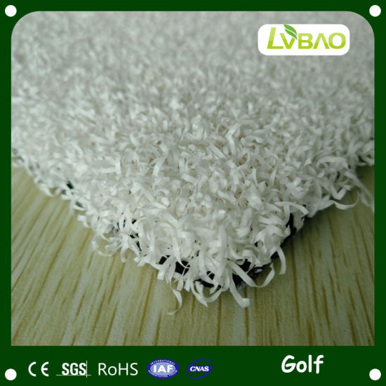 Long Warranty Year Artificial Grass for Golf Golf Grass
