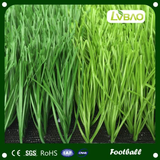Sport Grass for Outdoor Football Sport Surface Artificial Carpet