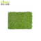 Synthetic Landscape Heat Reflect Fake Grass for Home Garden Outdoor Football with Ce 