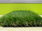 Artificial Turf for Landscape and Synthetic Grass