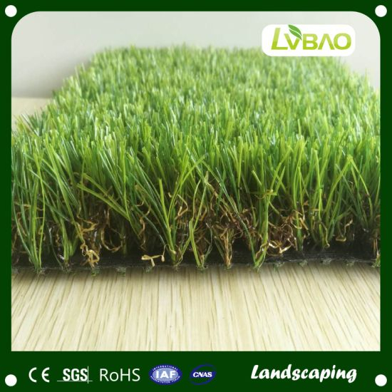 Summer Green Garden Landscaping Grass