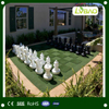 Landscaping Field and Wall Decoration and Exibition Artificial Grass