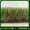 Summer Green Garden Landscaping Grass