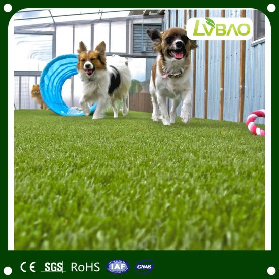 Landscape with Artificial Grass Waterless Lawn