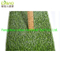 Plastic Grass Roll