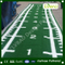 Cartoon Colorful Customized Artificial Grass for Kindergarden Park Decoration