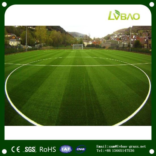 Professional Football Grass with Good Quality and Price