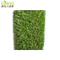 Hot Sale Landscape Grass in America