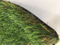 Four Tones Natural Looking Turf/Carpet for Garden and Home Decoration Artificial Grass