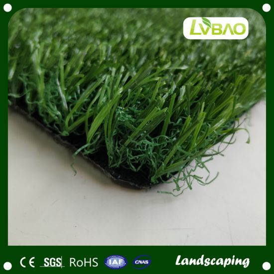 Fire Classification E Grade Synthetic Monofilament Grass Comfortable Grass Pet Artificial Turf