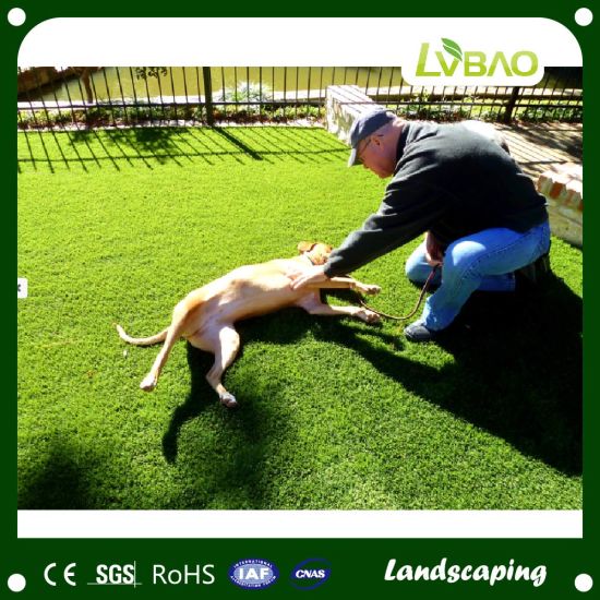 Mult Functional Artificial Grass for Landscaping