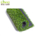 Landscape with Artificial Grass Waterless Lawn Natural Looking