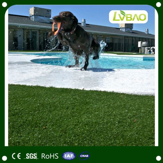 35mm 16000d Artificial Lawn Synthetic Lawn