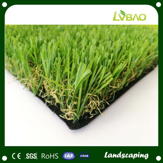 Landscape Grass Carpet Natural Green Garden Lawn