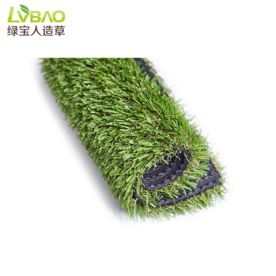 Hot Sale Landscape Grass in America