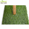 Landscape with Artificial Grass Waterless Lawn Natural Looking