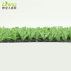 8mm Fibrillated High Quality Fake Grass Artificial Landscape Grass for Garden
