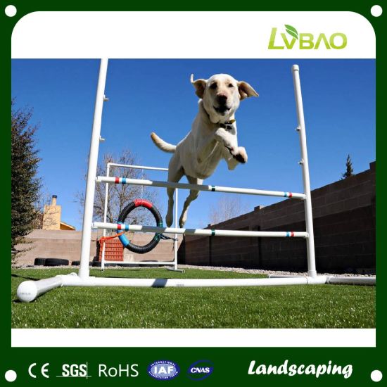 Pet Artificial Grass Easy Washing and Installing