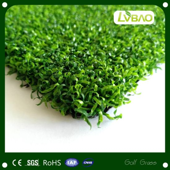 Colorful Customized Colour Golf Cricket High Dtex Artificial Grass