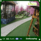Durable Quality Kids Colored Carpet Long Stem Artificial Grass for Kindergarten and School