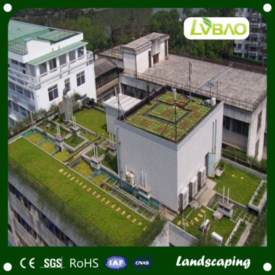 Hot Sale Synthetic Lawn Tennis Artificial Grass Two Color