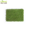 Hot Sale Landscape Grass in America