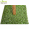 Natural Looking Forever Green Artificial& Urf Synthetic Grass