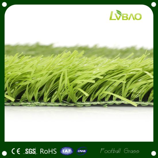 School Court Club Court Professional Artificial Football Grass