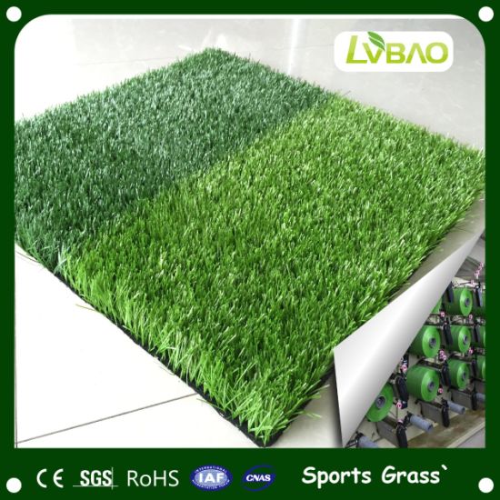 30mm Aquarium Artificial Grass for Football