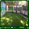 Natural Durable Artificial Turf Carpet Garden Grass
