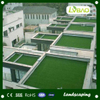High Quality Artificial Grass/Synthetic for Soccer Field