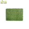 Landscape with Artificial Grass Waterless Lawn Flooring