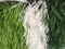 Fire Classification E Grade Natural-Looking Fake Yarn Multipurpose Strong Yarn Football Sports Lawn Synthetic Lawn Artificial Grass