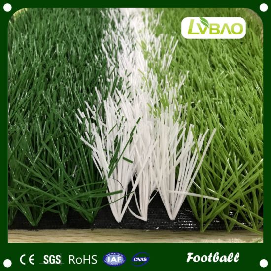 Ce, RoHS, OHSAS Certificated Professional Football Grass