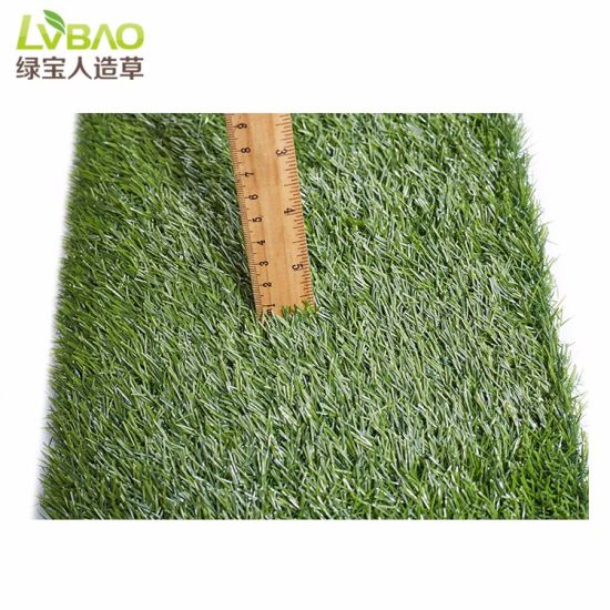 Landscape with Artificial Grass Waterless Lawn Backyard Flooring