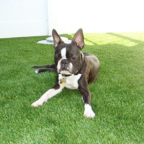 Astro Turf Syn Lawn Artificial Grass with Durable Quality and Reasonable Price