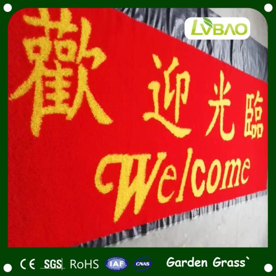Hot Sale Anti-UV Commercial UV-Resistance Durable Fake Waterproof Fire Classification E Grade Monofilament Artificial Grass Mat