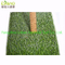 Artificial Landscape Grass for Residential